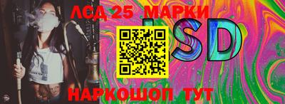 спиды Можга